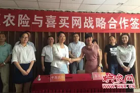 喜买网携手中原农险 开启“互联网+保险+精准扶贫”模式图片