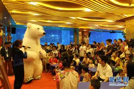 广州有个"熊孩子" 2岁北极熊如何在广州过夏天？图片