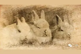 蜡像故事 | 新文化运动和北大的“三只兔子”图片