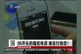 95开头的骚扰电话 谁在打给您？