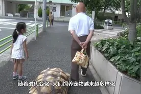 可以在手表里养的蚂蚁，只能活三个月，网友：丧心病狂！视频封面