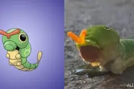 《口袋妖怪GO》8个原版生物大公开！原来这不是乱画图片