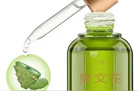 仙人掌原液的作用 揭开仙人掌原液的神秘面纱图片