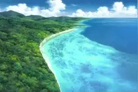 海石花，用海洋里的草做成的“果冻”图片
