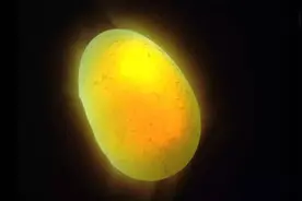 金坑岭水库捡到一块会发光的石头，难道这就是传说中的夜明珠？图片