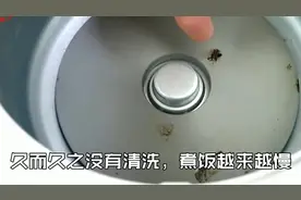 电饭锅煮饭后，不要用水擦，看完学会你会感谢我