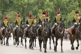 盘点各国骑兵仪仗队图片