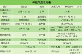 化州罗非鱼养殖户靠这三招连续 6 年赚钱 | 寻找1号图片