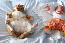 超融化的可爱瞬间！ 11张宠物与宝贝的陪伴互动图片