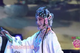 昆曲《游园惊梦》，每一帧画面都美的不像话！「走进大戏台」视频封面