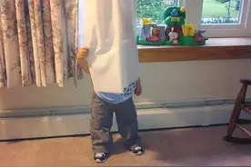 跟孩子玩捉迷藏，笑得根本停不下来啊！图片