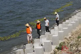 岳阳市君山区：水退思想不退，巡查责任不减图片