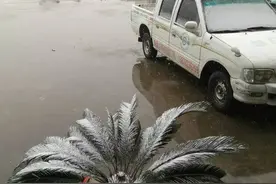 冰天雪地5个逗逼从驾校走回来！瑞昌纯妹子考驾照的难忘经历图片