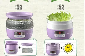 用豆芽机观摩植物生长，小熊电器给孩子上自然课图片