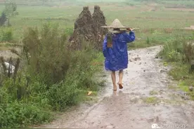乡情乡愁：故乡的风图片