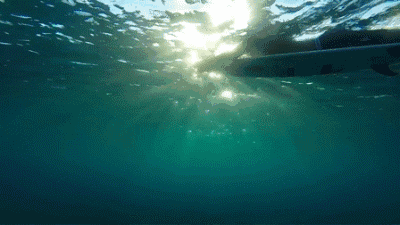 8张动测试你有没有深海恐惧症