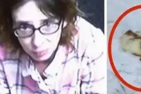 这只狗被活活冻死成为“冻尸”，而它的主人却说他们只是出去散心图片