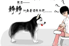 逗比主人和二哈的日常 漫画这货是个心机婊啊图片