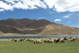 拉萨未央歌图片