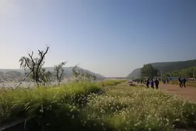 伊阙｜龙门石窟：武则天、蒋介石、白居易留下的痕迹图片