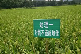 成都华宏“施地佳”土壤调理剂改良江西兴国县酸化土壤获得成功图片