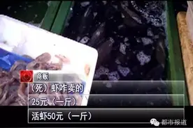 致癌？让鱼虾“起死回生”的鱼浮灵图片