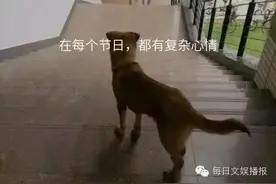 刘翔与吴莎“腊八节”黄山秀恩爱图片