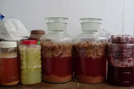家庭自酿葡萄酒，建议提前准备好这些工具...图片
