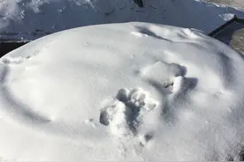 开荣威360 做中国最幸福的车主（哈尔滨冰雪世界里的我们）图片
