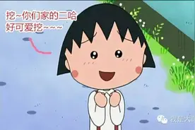 史上最强狗狗鉴别大法！图片