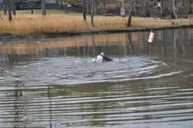他将鱼饵抛向池塘中钓鱼，钓上来的东西让他们当时就惊呆了！图片