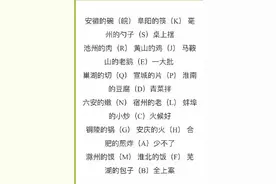 安徽省内车牌照内幕大揭露，合肥人你真能分清几个图片