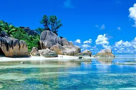 哪些生肖男不会被爱情迷惑？图片