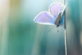 生活正能量，记住这5句话图片