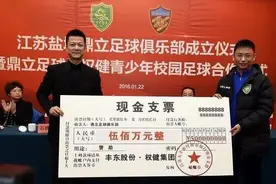 江苏盐城成立职业球队 权健老总束昱辉赞助500万图片