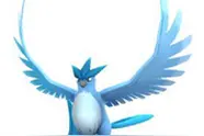 Pokemon go急冻鸟属性图鉴 口袋妖怪go急冻鸟技能介绍图片