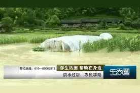 生活圈丨洪水过后，如何补救受灾农田？图片