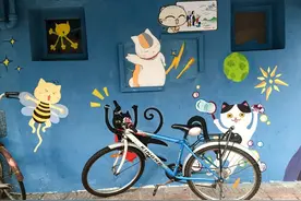 爱猫随处见，厦门独有的猫咪文化图片