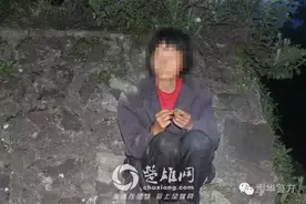 惊险一幕！楚大高速惊现一4岁小女孩坐在路边哭泣，这究竟是怎么回事？(图)图片