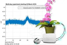 瑞士公司推植物讯号探测仪 可听植物对话免干扰图片