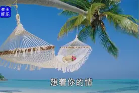 一首好听伤感情歌《负心的你》林翠萍原唱最新mv经典歌曲不听不厌
