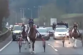 没有看错吧，马是这么跑得吗？还那么快