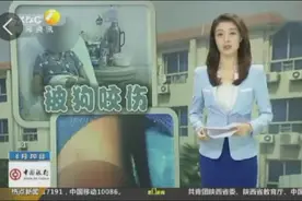 西安一女子被阿拉斯加犬连咬三口视频封面