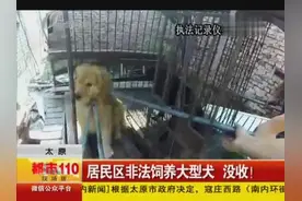 太原：居民区非法饲养大型犬 没收！