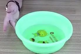 头发一天不洗又油又痒，教你一个洗头的小窍门，一周不洗都不油腻视频封面