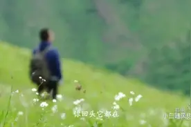 许巍《我的爱》高清MV，感觉拍出旅游大片，彻底被歌声征服了