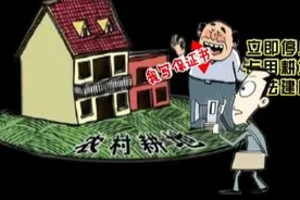 退休干部耕地里违法建房 国土局:强拆需走程序  麻烦视频封面