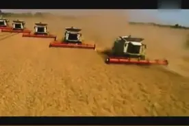 唯美的克拉斯收割机画面图片