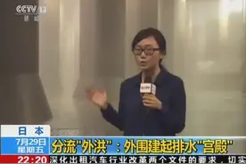 外洪内涝不断 日本东京如何治水图片