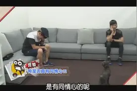 狗狗面对主人哭泣时的表现